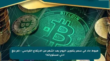 هبوط حاد في سعر بتكوين اليوم بعد أشهر من الارتفاع القياسي – كم بلغ أدنى مستوياته؟